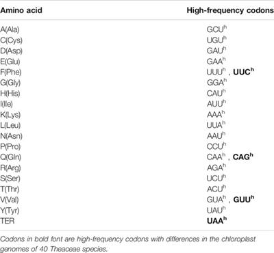 Comparative Analysis of Codon Bias in the Chloroplast Genomes of Theaceae Species